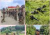Tujuh Kali Bertugas di Papua, Kawal Timor Timur hingga Jakarta 1998, Dedikasi AKP Syamsul Bahri untuk NKRI Layak Diapresiasi