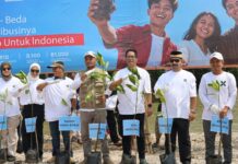 PT Angkasa Pura Indonesia Tanam 10.000 Mangrove di Pesisir Mauk Tangerang