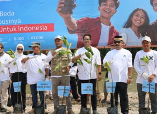 PT Angkasa Pura Indonesia Tanam 10.000 Mangrove di Pesisir Mauk Tangerang
