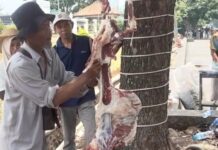 Warga Gelar Tasyakuran Potong Kambing Usai KPK OTT di BPN Bogor