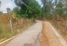 Pembangunan Jalan Usaha Tani di Kertamandala Ciamis Diharapkan Tingkatkan Produktivitas Petani