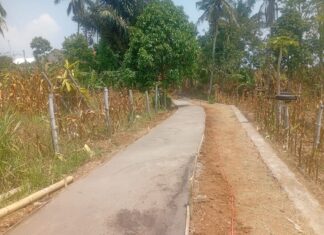 Pembangunan Jalan Usaha Tani di Kertamandala Ciamis Diharapkan Tingkatkan Produktivitas Petani